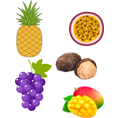 Grafische afbeelding van ananas, tros druiven, passievrucht, truffel en mango